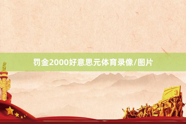 罚金2000好意思元体育录像/图片