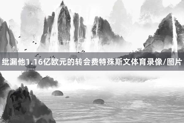 纰漏他1.16亿欧元的转会费特殊斯文体育录像/图片