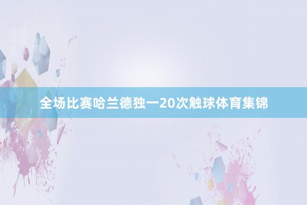 全场比赛哈兰德独一20次触球体育集锦