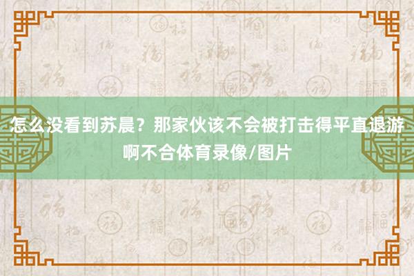 怎么没看到苏晨？那家伙该不会被打击得平直退游啊不合体育录像/图片