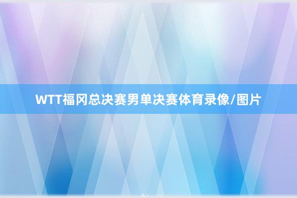 WTT福冈总决赛男单决赛体育录像/图片