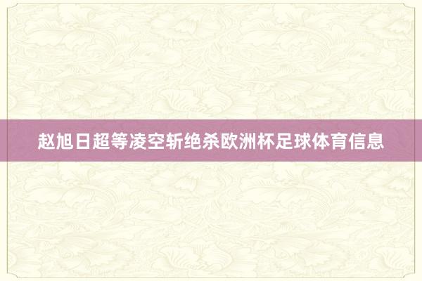 赵旭日超等凌空斩绝杀欧洲杯足球体育信息