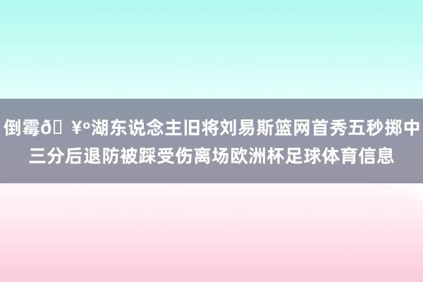 倒霉🥺湖东说念主旧将刘易斯篮网首秀五秒掷中三分后退防被踩受伤离场欧洲杯足球体育信息