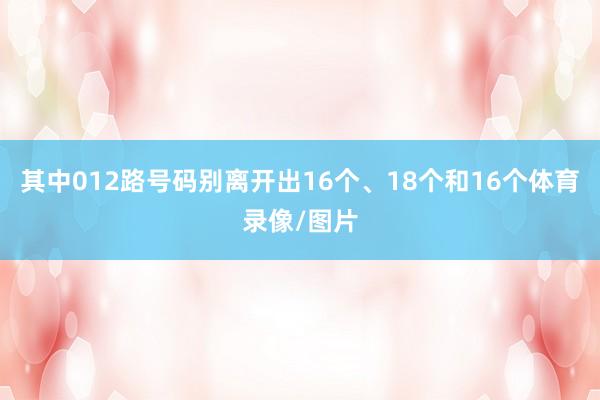 其中012路号码别离开出16个、18个和16个体育录像/图片