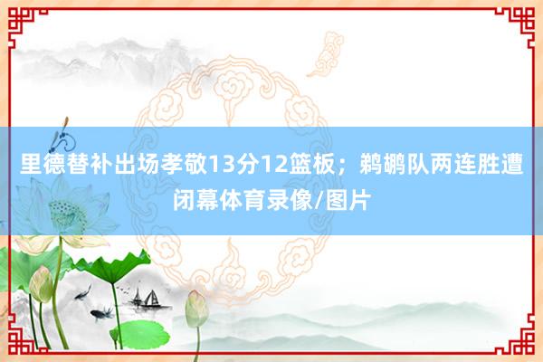 里德替补出场孝敬13分12篮板；鹈鹕队两连胜遭闭幕体育录像/图片