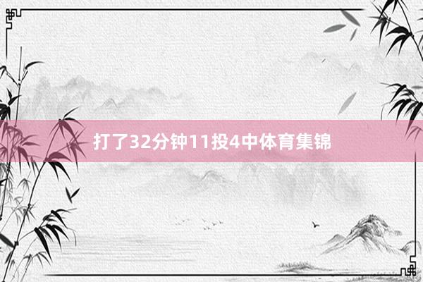 打了32分钟11投4中体育集锦