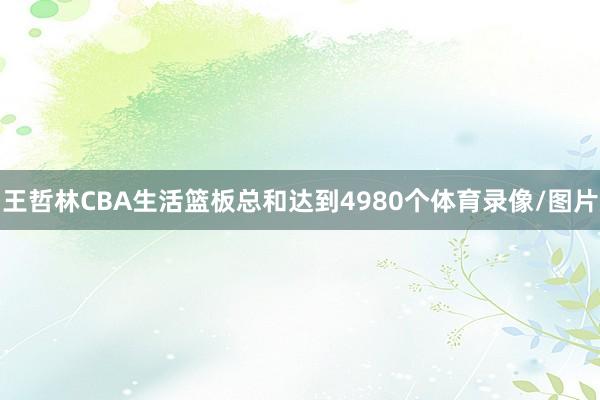 王哲林CBA生活篮板总和达到4980个体育录像/图片