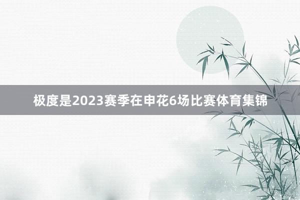 极度是2023赛季在申花6场比赛体育集锦