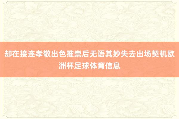 却在接连孝敬出色推崇后无语其妙失去出场契机欧洲杯足球体育信息