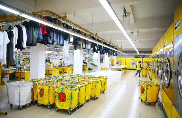 中央洗衣工厂将成社区o2o的重要环节 - 观点 - 洗染人网